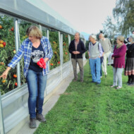 Speisereise zum Hofladen Putzhammer (September 2021) Speisereise zum Hofladen Putzhammer (September 2021)