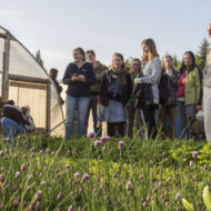 Speisereise zum Hofladen Putzhammer (Juni 2014) Speisereise zum Hofladen Putzhammer (Juni 2014)